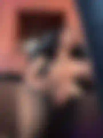 explicit vide cum ivanna show