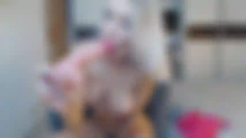 blowjob sloppy and ride dildo