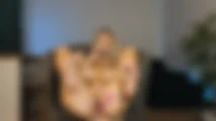 fingering ass,show feet and ahegao face