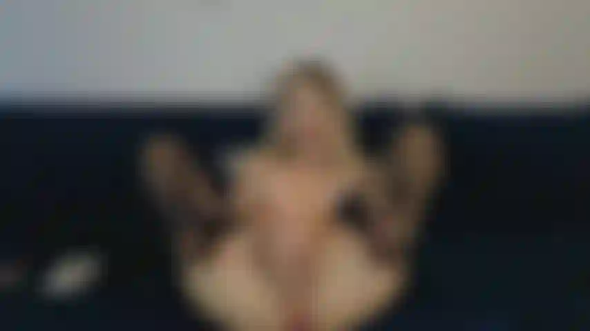 Fuck pussy with dildo and fingers.