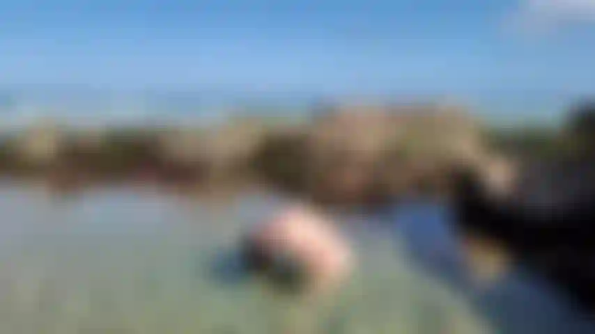 Jazzabelle Rox Outdoor Beach Nude Hair Flip