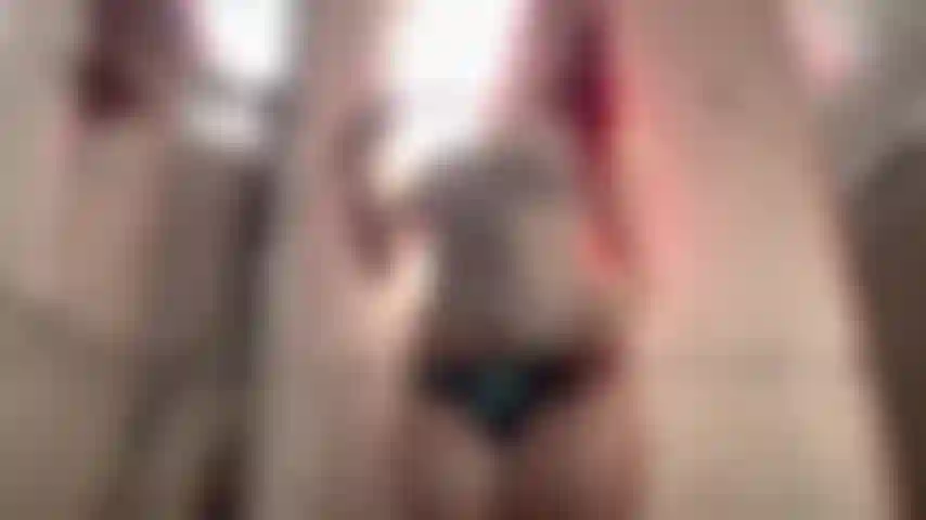 Shower POV fantasy where youre up close and completely focused