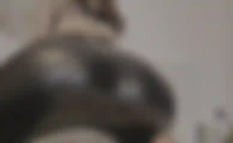 your goddess's ass in leather