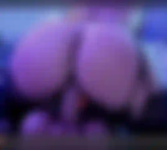 Watch Jessie Fuck her male torso!!