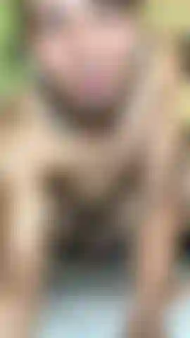 How delicious it is to touch and come.