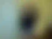 Look at you chastity slave. Sucking another man's cum from panties and you don't even know whose cum it is. I don't either. I gave your monthly BJ to a stranger instead of you. You're worthless.