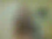 I'm going out and I'm going to find a hot stranger to fuck. You have become absolutely useless in bed. I'll let you jerk off in front of me even flash you some tits & ass before I go. You're pathetic.