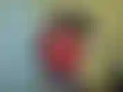 I have been cheating so much lately that I have no idea who this dick pic belongs to. It's not really cheating though. You see I'm a hotwife. I like to fuck other people even though we're married.