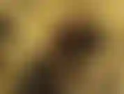 You're too pathetic to date, but I will let you be my foot slut. You will lick and worship them every day. Sex? Never. But I will let you jerk your little dick as long as you eat all your cum.