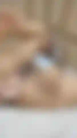 come and fuck my sweet wet pussy