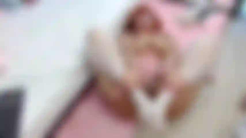 bondage/ submissive / nice girl