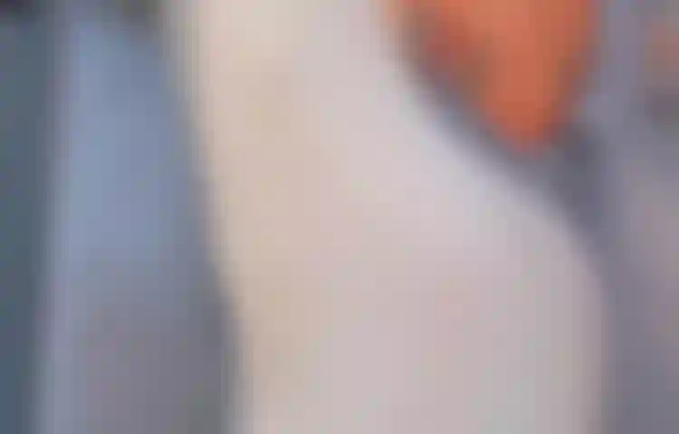 Take a shower and rub my breasts and pussy. Would you like to participate in this long bath with me?