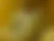 Masturbating Again