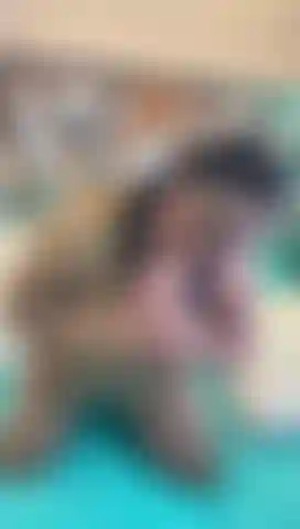 sensual latina mature