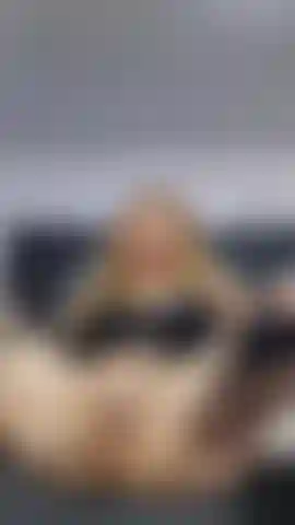 Fuck me hard tonight, I need to feel everything inside me
