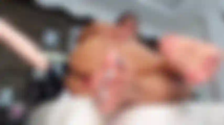 Kiss my feet while I fuck until I cum