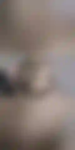 Look no further here pleasure becomes reality.