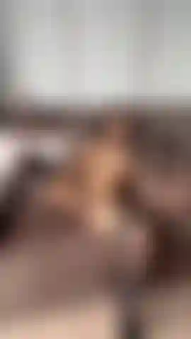 Come and fuck me guys