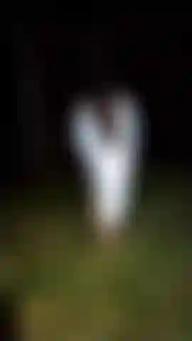 Show one boob in the forest.