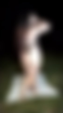 Doggy in the forest.