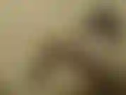 Maid luna caresses, fingers and assfucks herself with her rubber glove and cums twice! / Maid luna caresses herself, fingers herself and fucks herself using her rubber glove, until she has 2 orgasms!