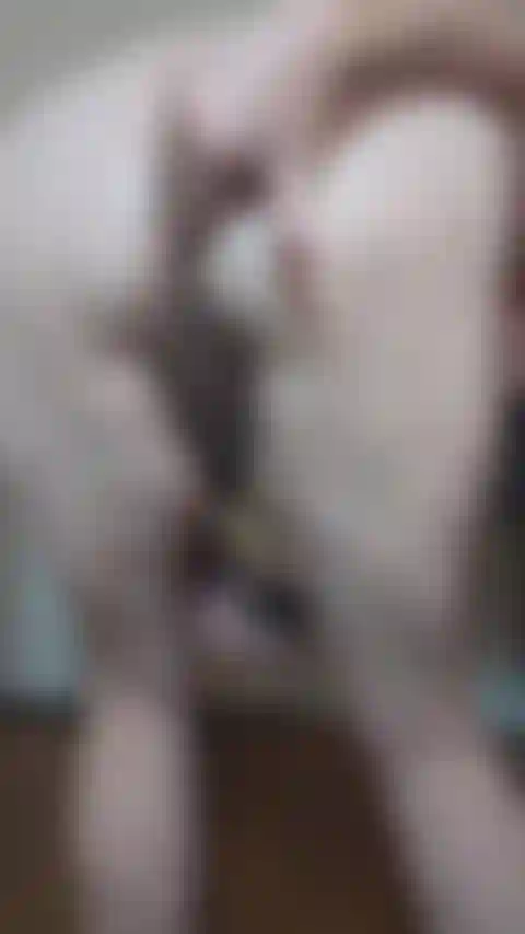 Cucumber anal and ATM!