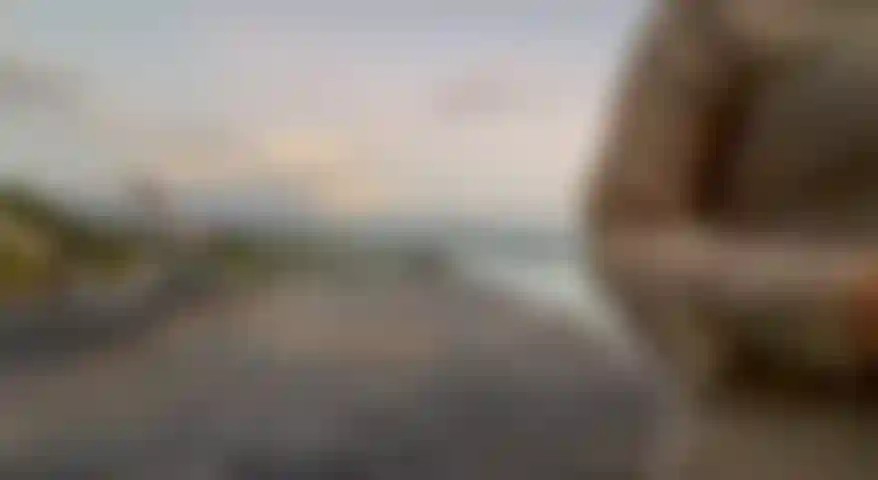 nature, my body and your desires...