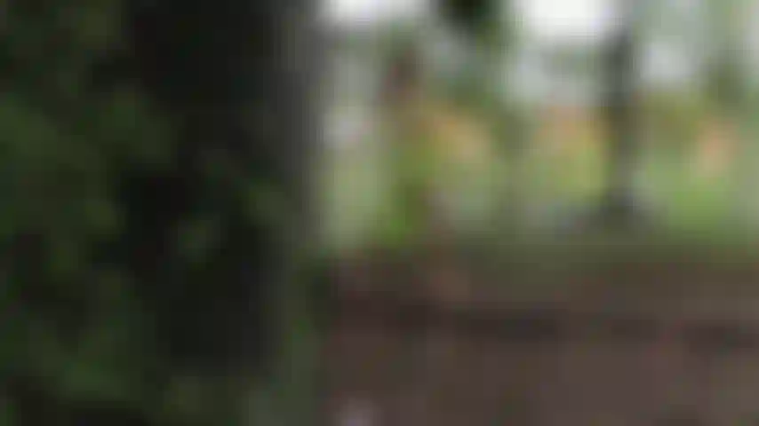 The intimacy in nature makes maia's clothes slowly fall until she is completely naked to touch her uncovered body.