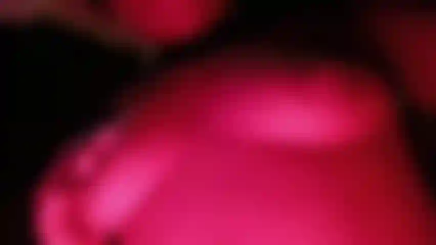 Do you like my breasts and how I accessorize them?