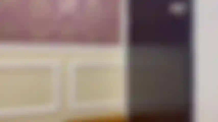 Come to discover a world full of preasule.