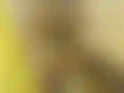 BBC Shower Blowjob - I just love gagging on your cock until my eyes roll back!