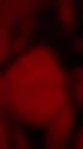 Red light and dancing to the bed, shall we dance together?