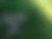 Peaceful video of me cumming on a dildo in my back yard!