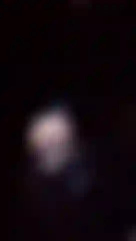 1AM in the woods, dirt on my skin, barely dressed and no one around to stop me… would you come find me?”