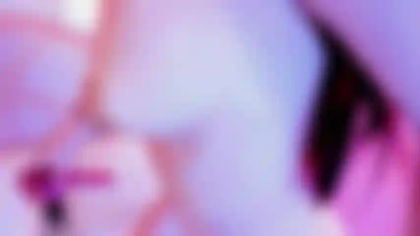 Riding in reverse and my ass bounce.