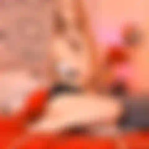 The Best Sex Positions | When I'm On My Knees