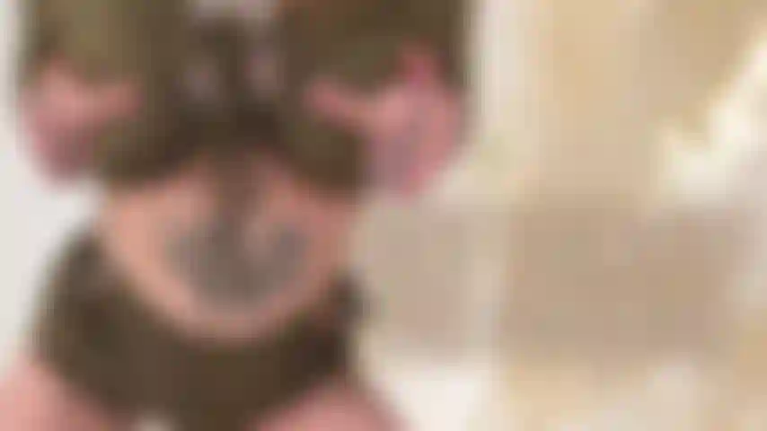 Hurt Yourself For Goddess CBT