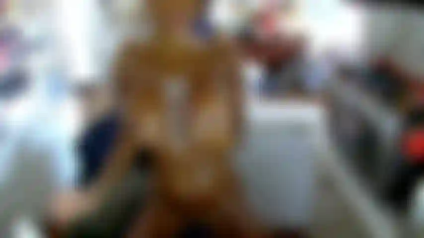 playing with wipped cream