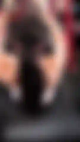 Muscle mummy? Back workout 1