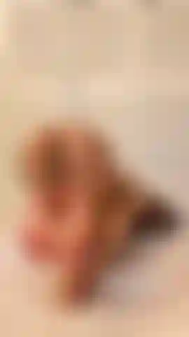 Footjob in Doggy Position on Dildo