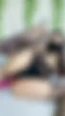 Using Vibrator in My Asshole