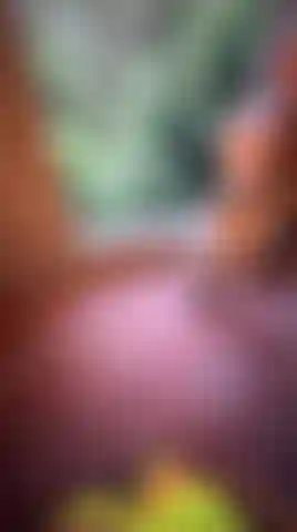 My house inspection gone naughty… let me show you what happened i was just walking around, inspecting everything, being a good spoiled goddess… when one of the workers started looking at me a little too much what happens next? Let's just say this definitely wasn't part of the construction plan… but he knew exactly how to keep me entertained this pov video feels so real, risky, and dirty… like you're secretly watching something you shouldn't be seeing 🥵.