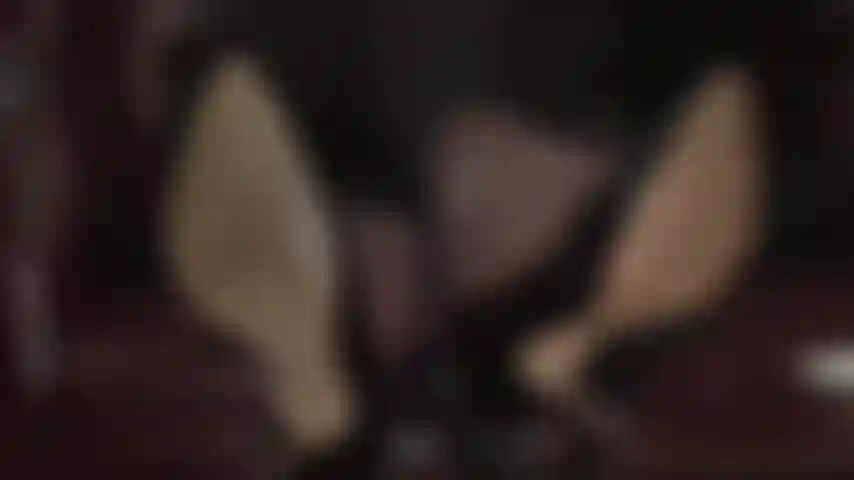 Lick my dirty shoes clean - mistress' crossed ankles are such a huge turn on for you as she dangles black patent pumps and tempts you with her pantyhose feet. Your reward - to sniff and lick these wonderful nylon toes.