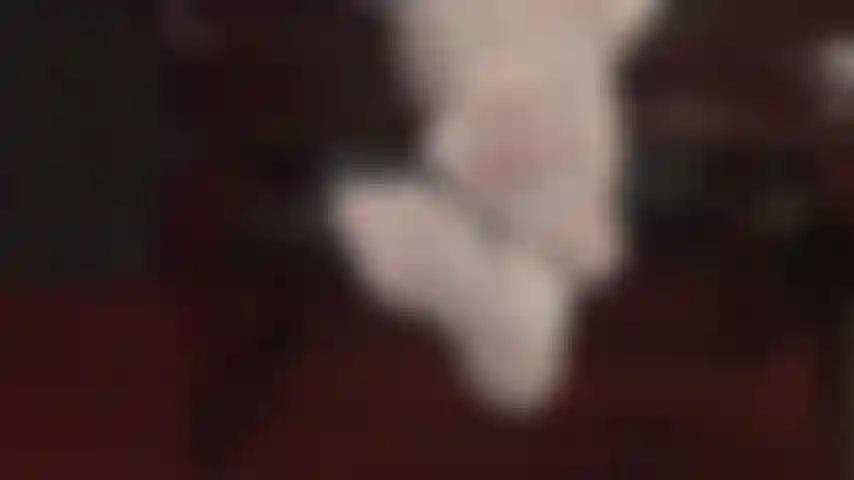 You can't get enough of mistress' feet, whether they are wrapped in very glossy white pantyhose or bare. Mistress vivian exploits your foot fetish.