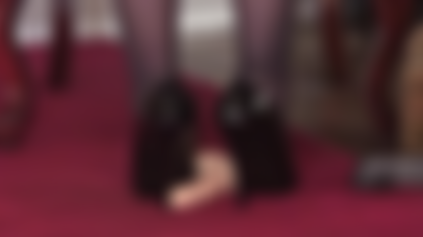 Mistress' heels are teasing the weak flesh - That is exactly what your slave dick needs right now...