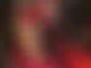 Seductive lady in red - mistress is well aware how weak and horny you are for my legs in glossy golden pantyhose. Paired with shiny red gloves and a dress that just keeps getting shorter...Oh my!