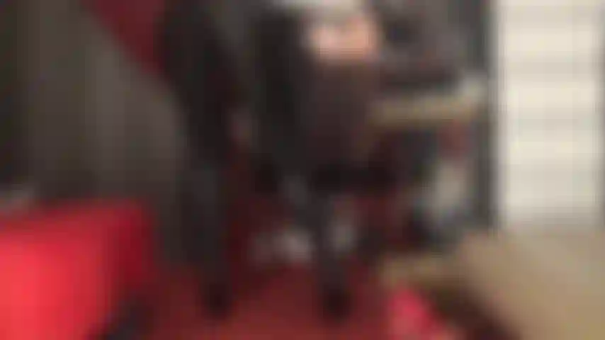 Mistress has you filled with the desire to stroke your cock all over these tight black spandex leggings and knee length leather boots.