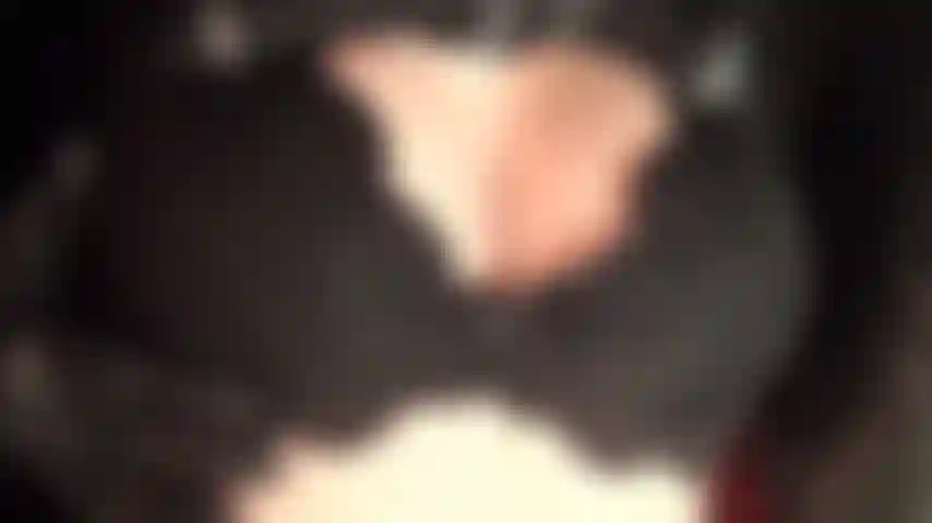 Sexy cleavage tease in black lace bra and leather gloves.