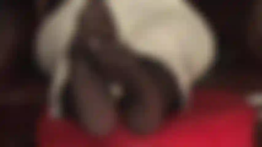 Feeding your foot fetish addiction - mistress vivian wiggles her pretty pantyhose feet in your face.