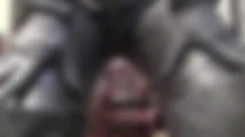 Dressed entirely in black leather, mistress vivian wears a zip through catsuit, long leather boots and gloves to indulge the leather enthusiast.